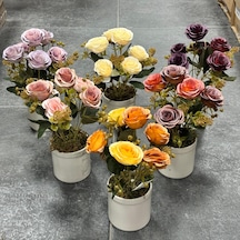 Saksılı Pastel Garnitürlü Lüx Gül 6dl