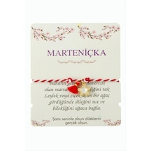 Yıldız Püskül Marteniçka İp Bileklik Çok Renkli