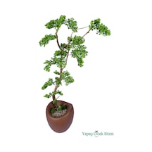 Yapay Çiçek Sitesi Fiber Saksıda Doğal Gövdeli Bonsai Yapay Ağaç 170 Cm Yeşil