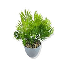 Cihan Çiçekçilik Yapay Mini Saksıda Çikas 28 Cm Açık Mavi Saksı Beyaz- Yeşil