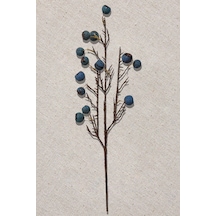 Pasabahce Fruit 68 Cm Mavi - 1 Adet