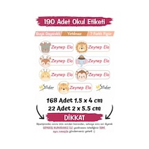 Çok Renkli