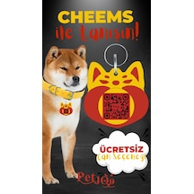 Petjoo 18.Cheems Kırmızı-Sarı Qr'lı Köpek Künyesi