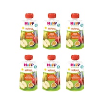 Hipp Organik Çarkıfelek Meyveli Karışık Meyve Püresi 100 G 6 Adet