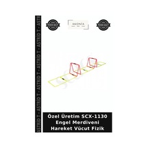 Özel Üretim Scx-1130 Engel Merdiveni Hareket Vücut Fizik Çok Renkli