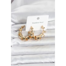 316l Çelik Gold Renk Spiral Halka Kadın Küpe Diğer