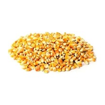 Cin Mısır 500 G