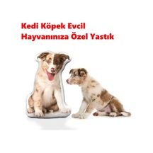 Çok Renkli