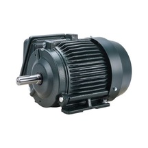 Toshiba Eqp Global Sd 2 Hp 1.5 Kw 1750 Rpm Nema 145t Elektrik Motoru 0024sdsr41a-p