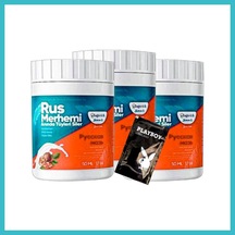 Bezos Playboy Turquoise Tüylere Krem 3 Adet Ceviz & Ceviz Sütü Rus Merhemi 50 Ml + Yanında Jel Dfnbez