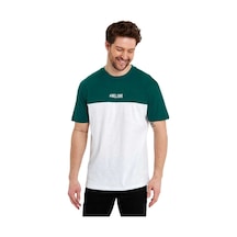 Erkek Bisiklet Yaka Blok Renkli Regular Fit Baskılı Tişört 001