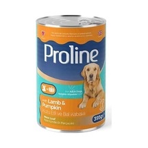 Tr Parça Kuzu Etli Ve Bal Kabaklı Pate Yetişkin Köpek Konservesi 395 Gr