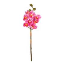 Yapay Çiçek Orkide Gerçek Dokulu Pembe 75 Cm. Çok Renkli
