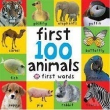 First 100 Animals Board Book