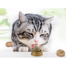 Zensaas41 Kedi Otu Oyun Topu Cat Mint Zensaa56