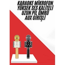 Karaoke Mikrofon Dahili Hoparlörlü Sd-usb-aux Girişli Bluetooth Hoparlör