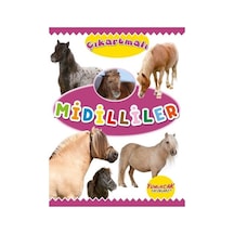 Çıkartmalı Midilliler- Yumurcak Yayınları