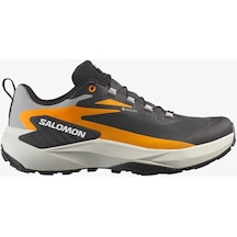 Salomon Genesıs Gore-tex Erkek Koşu Ayakkabısı Black L47976200-10534 Çok Renkli