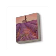 Fransa Görseli Baskılı Taş Magnet 5x5