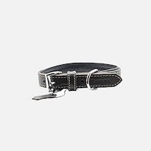Zampa Classic Xs Köpek Boyun Tasması Siyah 42 Cm