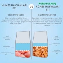 Pugalo Cleanpaw Premium Kedi Tuvalet Önü Paspası, Çift Katmanlı Kedi Kumu Toplayıcı, Geniş Delikli, Kolay Temizlenir Kırmızı, 50 X 75 2li