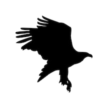 Folyo Sticker Kartal Adkpquy624 160cm Uzunluk Siyah