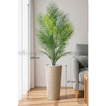 160 Cm Areka Ağacı 24 Yapraklı Mocha Kumsal Saksıda H