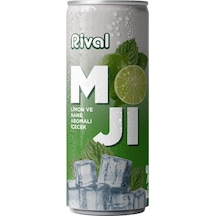Rival Moji Limon Ve Nane Aromalı Gazlı İçecek 250 Ml 12'li