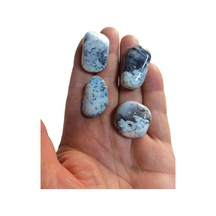 50 Gram Merlinit Dendritli Opal Tamburlu Parçalar 239-2