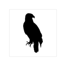 Kartal Folyo Sticker Derstv751 90 Cm Uzunluk Siyah