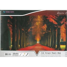 Sim Karton Kapak Spr Resim Defteri 34x48 15 Yp