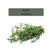 Zencefil Organik Kekik Tohumu 1 Paket 500 + Adet