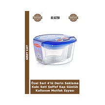 Özel Seri 4'lü Derin Saklama Kabı Seti Şeffaf Kap Günlük Kullanım Mutfak Eşyası Çok Renkli