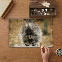 Oklu Kirpi Tasarımı 240 Parça Ahşap Puzzle Ahşap Kutuda Mpy50483