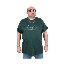 Nefti