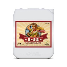 Advanced Nutrients B-52 5  Litre
