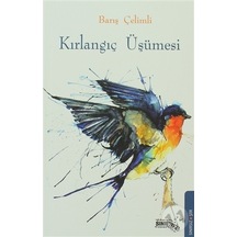 Kırlangıç Üşümesi - Barış Çelimli - Sınırsız Kitap
