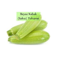 100 Adet Tohum Organik Taze Yeni Hasat Beyaz Kabak Tohumu Kalem Yeşil