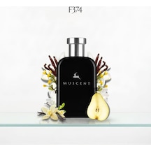 F374 Pparadoks 50 Ml