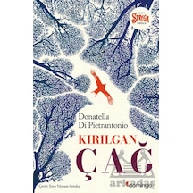 Kırılgan Çağ Domingo Yayınevi