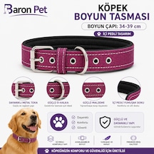 Pedli Köpek Boyun Tasması 34-39 Cm 2 Cm İçi Pedli Metal Tokalı D Halkalı - Mürdüm Çok Renkli