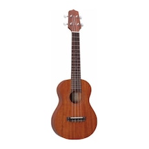 Takamıne Gu-C1 Concert Ukulele