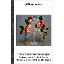Çok Renkli