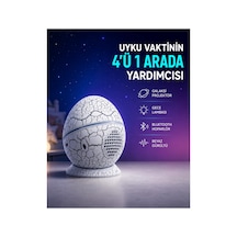 Dinozor Yumurtası Tasarımlı Gece Lambası Müzik Ve Işık Senkronizasyonlu Diğer 69549365