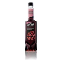 Davinci Gourmet Nar Aromalı Şurup 75 Cl Diğer