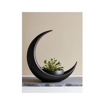 Crescent Moon Decoration With Elliptical