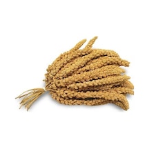 Doğal Dal Darı 250 Gr Doğal Dal Darı 250 Gr
