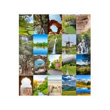 Orman Fairycore Cottagecore Poster Seti- Afiş 20 Adet A5