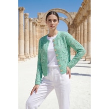 Mint Yeşili