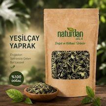 Yeşil Çay Yaprak Bitki Çayı - 5 Kg